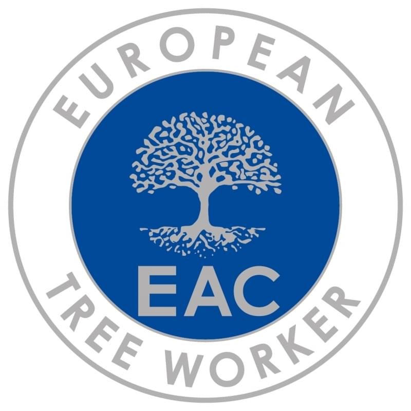 European tree worker in Iserlohn